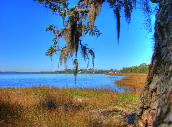 Hermitage Island coastal landscape photograph 2