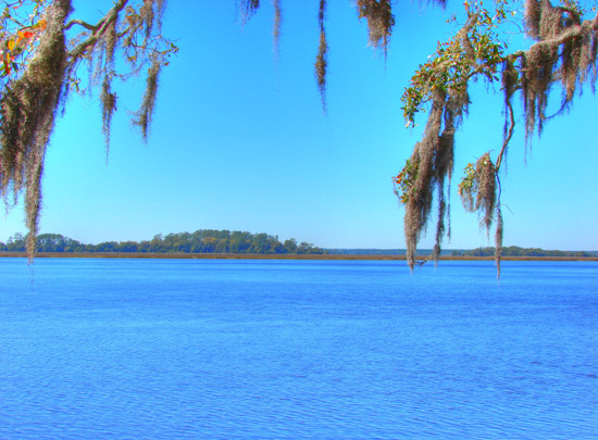 Hermitage Island coastal landscape photograph 6