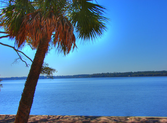 Hermitage Island coastal landscape photograph 7