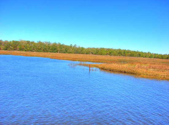 Hermitage Island coastal landscape photograph 9
