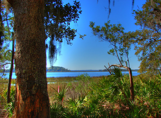 Hermitage Island coastal landscape photograph 10