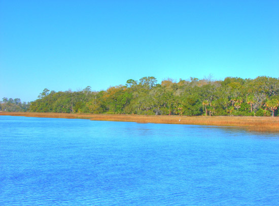 Hermitage Island coastal landscape photograph 11