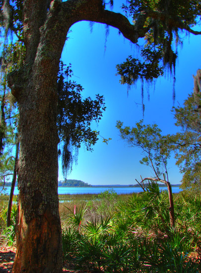Hermitage Island coastal landscape photograph 15
